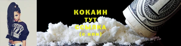 МДПВ Новосибирск