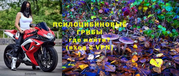 первитин Лагань