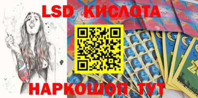прущие грибы Гатчина