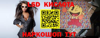 прущие грибы Гатчина