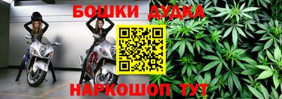 прущие грибы Гатчина