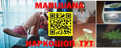 прущие грибы Гатчина
