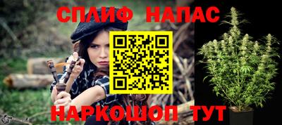 прущие грибы Гатчина