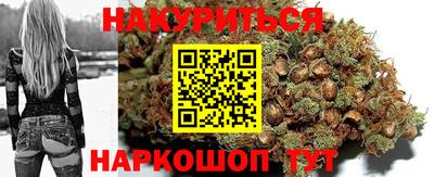 прущие грибы Гатчина