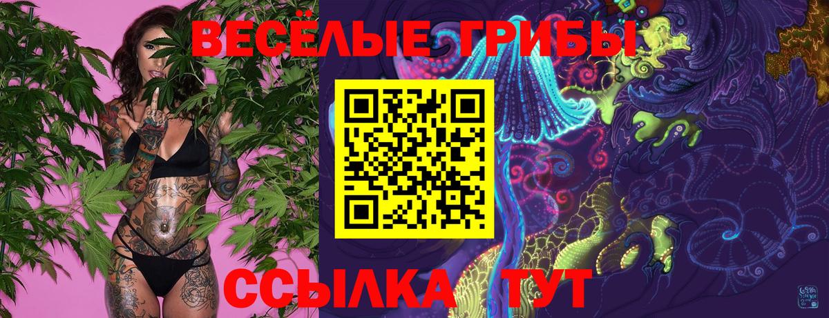 Псилоцибиновые грибы прущие грибы  Вход с VPN  цены   Краснодар 